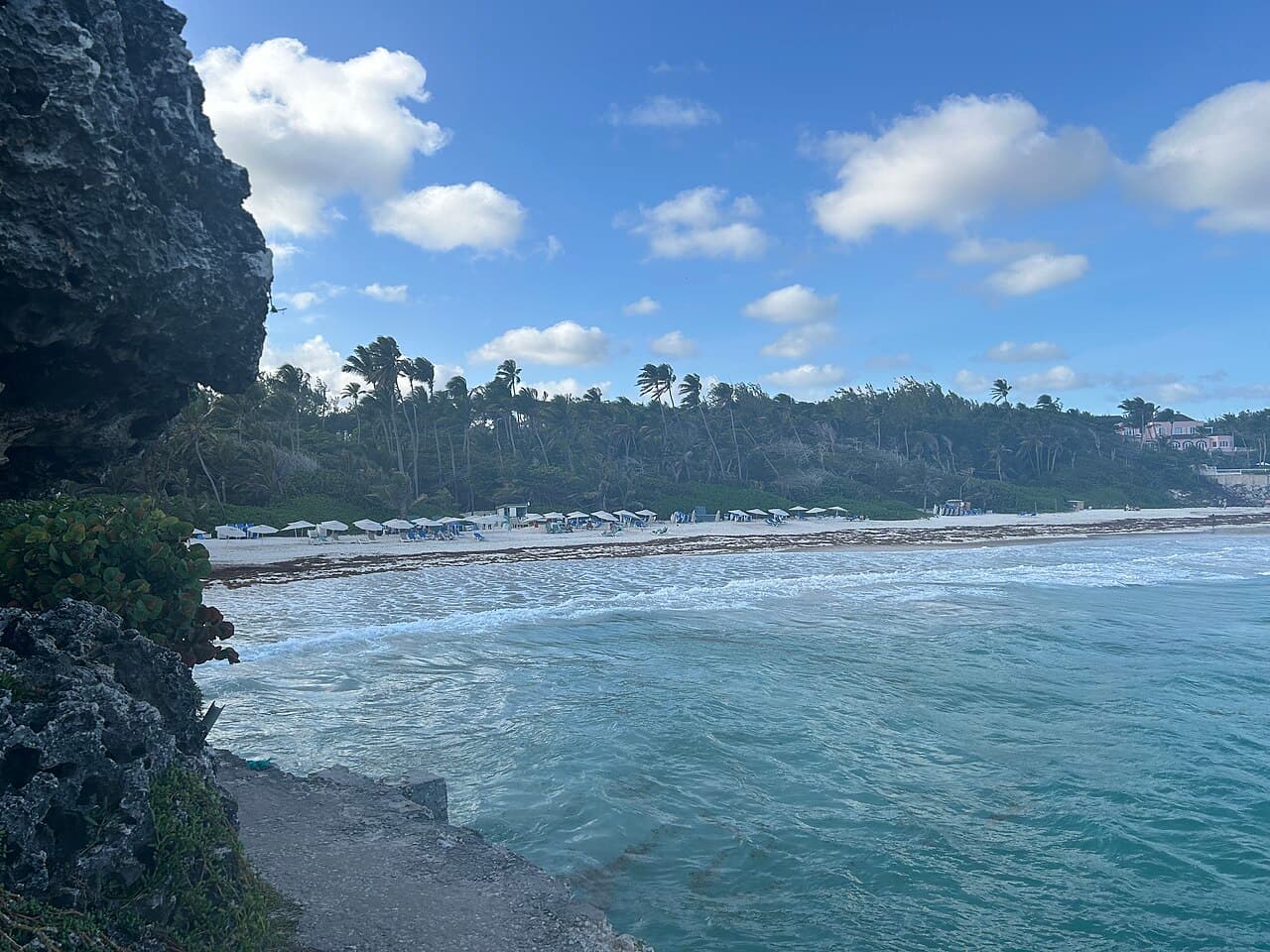 Renaissance — Island Rhythms and Blue Horizons from Barbados