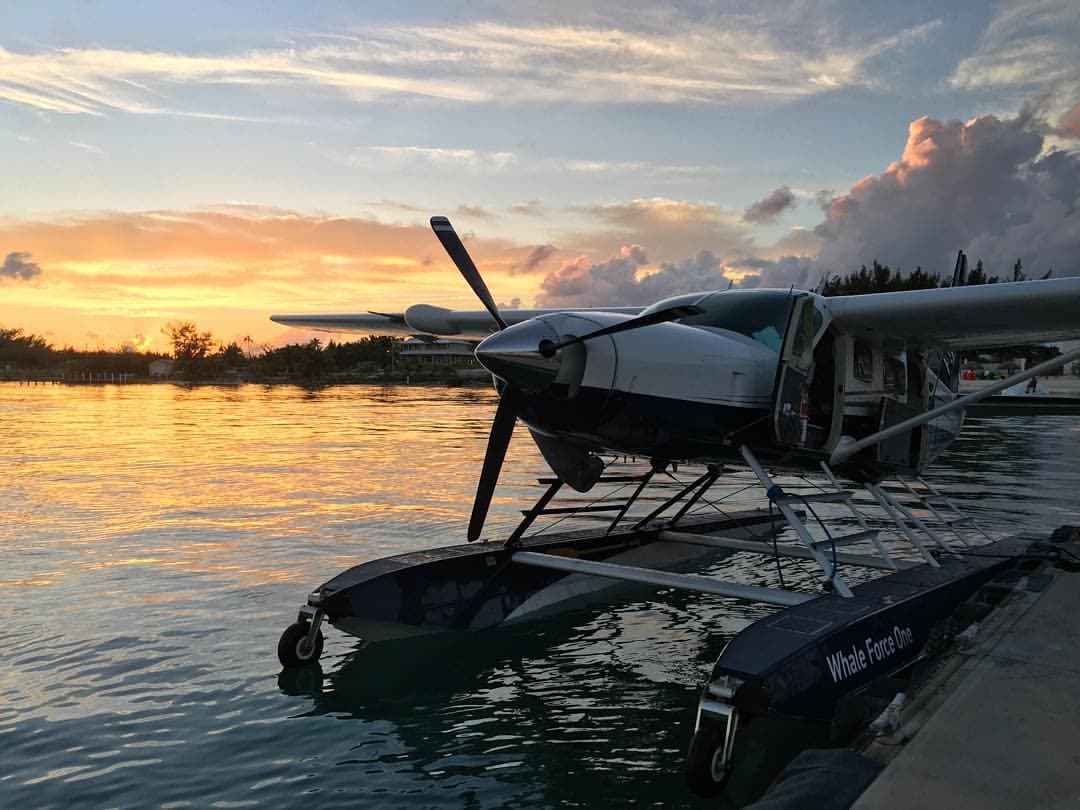 Resilient Lady — Grand Turk & Bimini Beach Club
