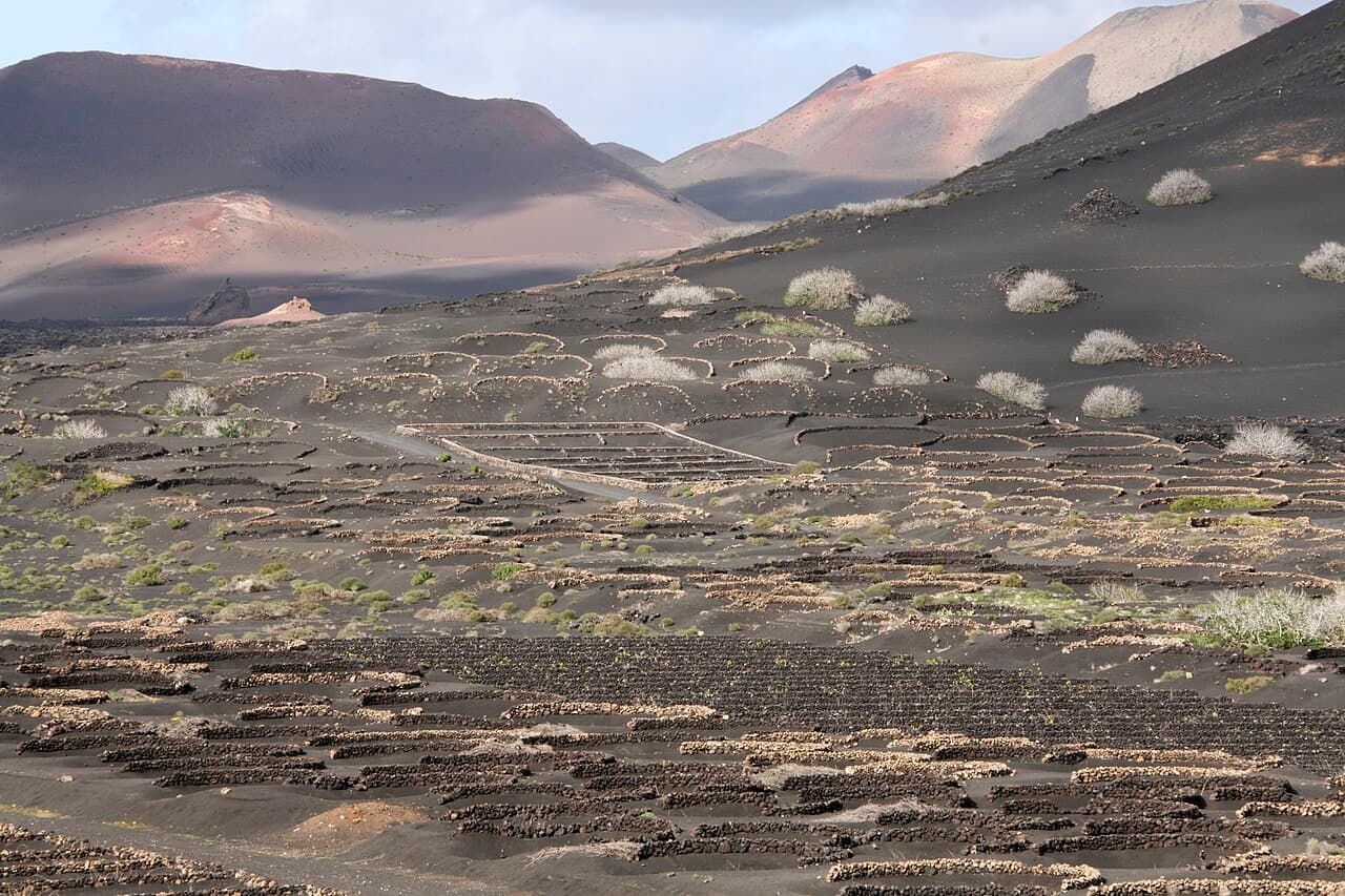 Marella Discovery 2 — Canary Islands Explorer