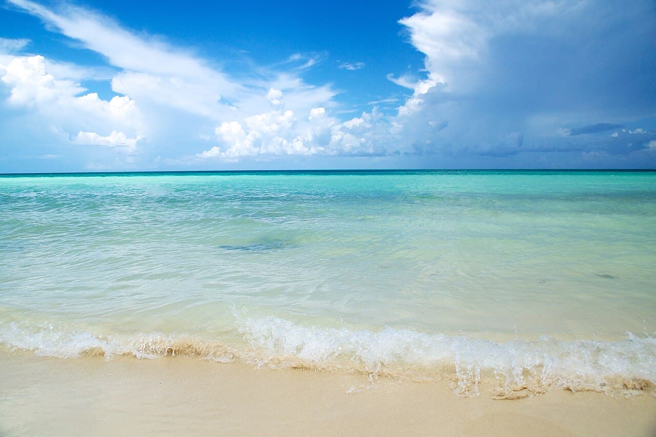 Arvia — Caribbean
