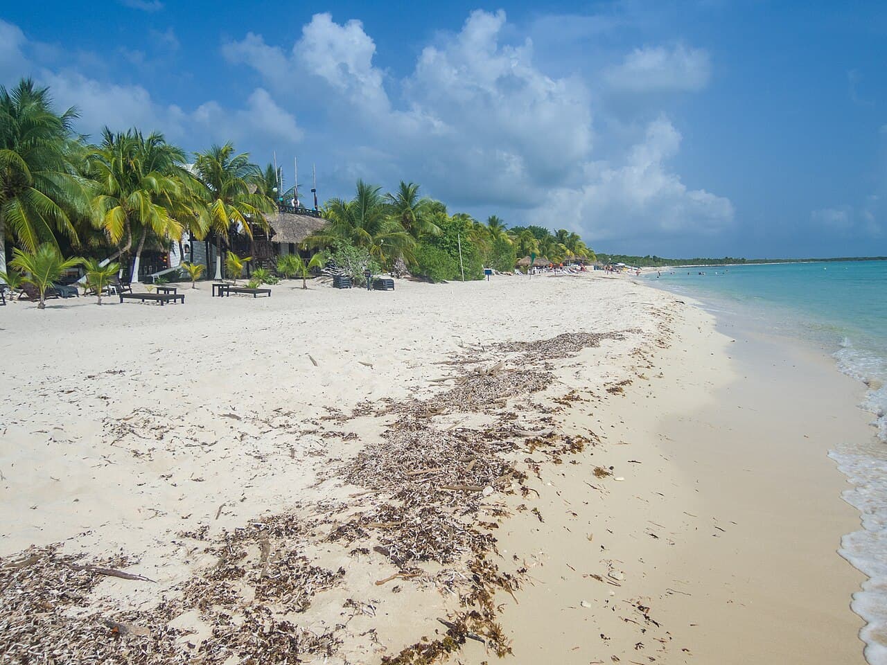 MSC Seascape — Caribbean 7 Nights From Galveston, Texas