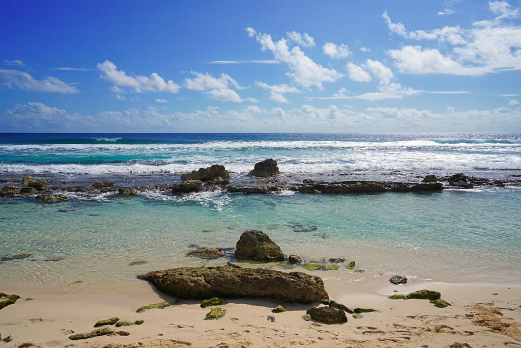 MSC Grandiosa — Caribbean 14 Nights From Port Canaveral, Florida