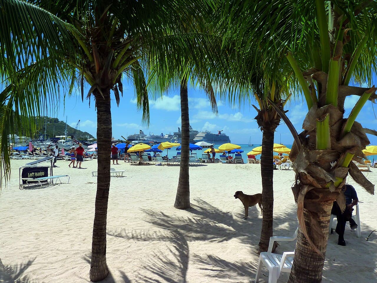 Icon of the Seas — 7 Night Eastern Caribbean & Perfect Day