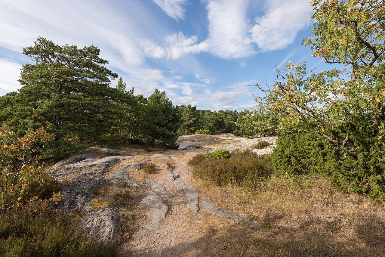 Silver Dawn — Copenhagen to Stockholm
