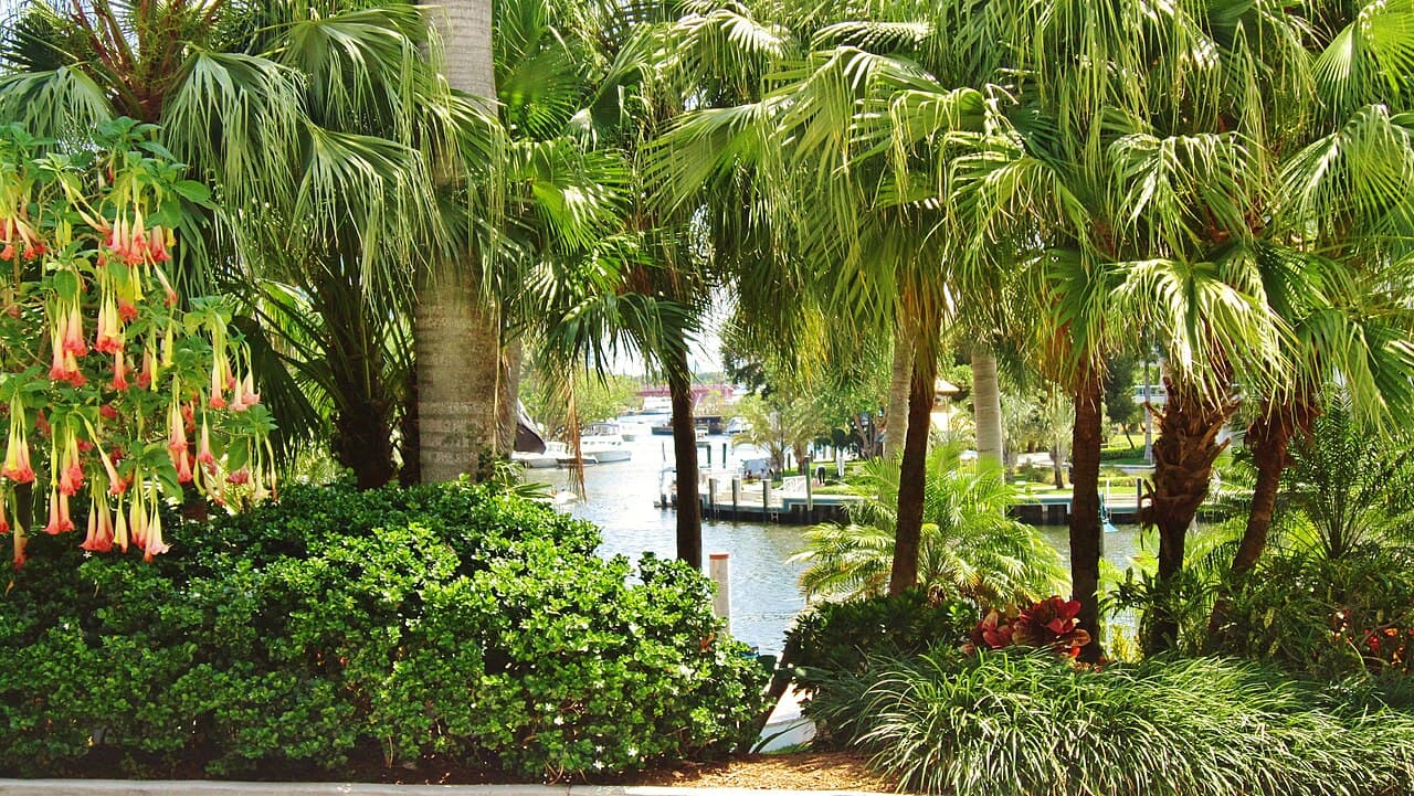 Fort Lauderdale cruise port