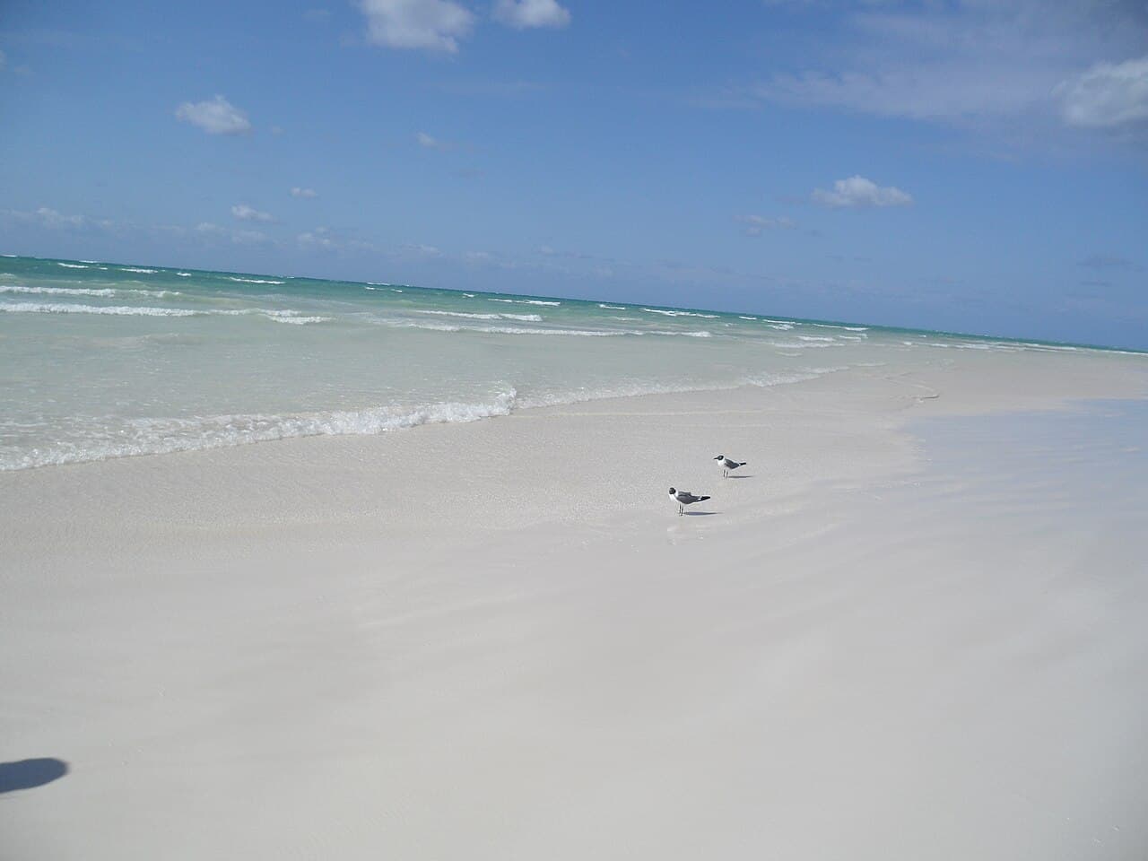 Carnival Conquest — 4-Day Bahamas