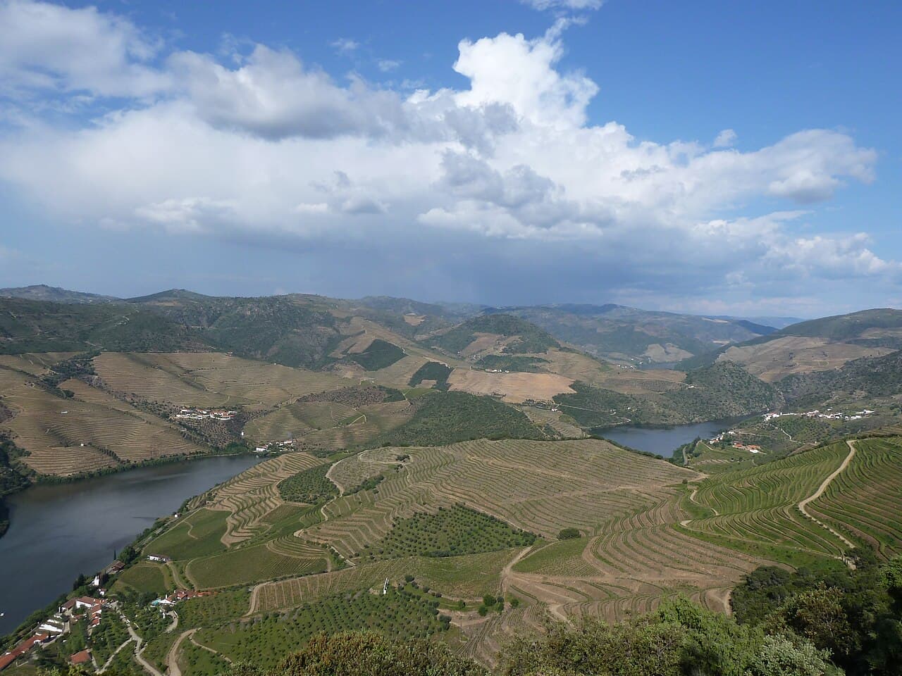 Scenic Pearl — 14 Night Cruise to European Rivers